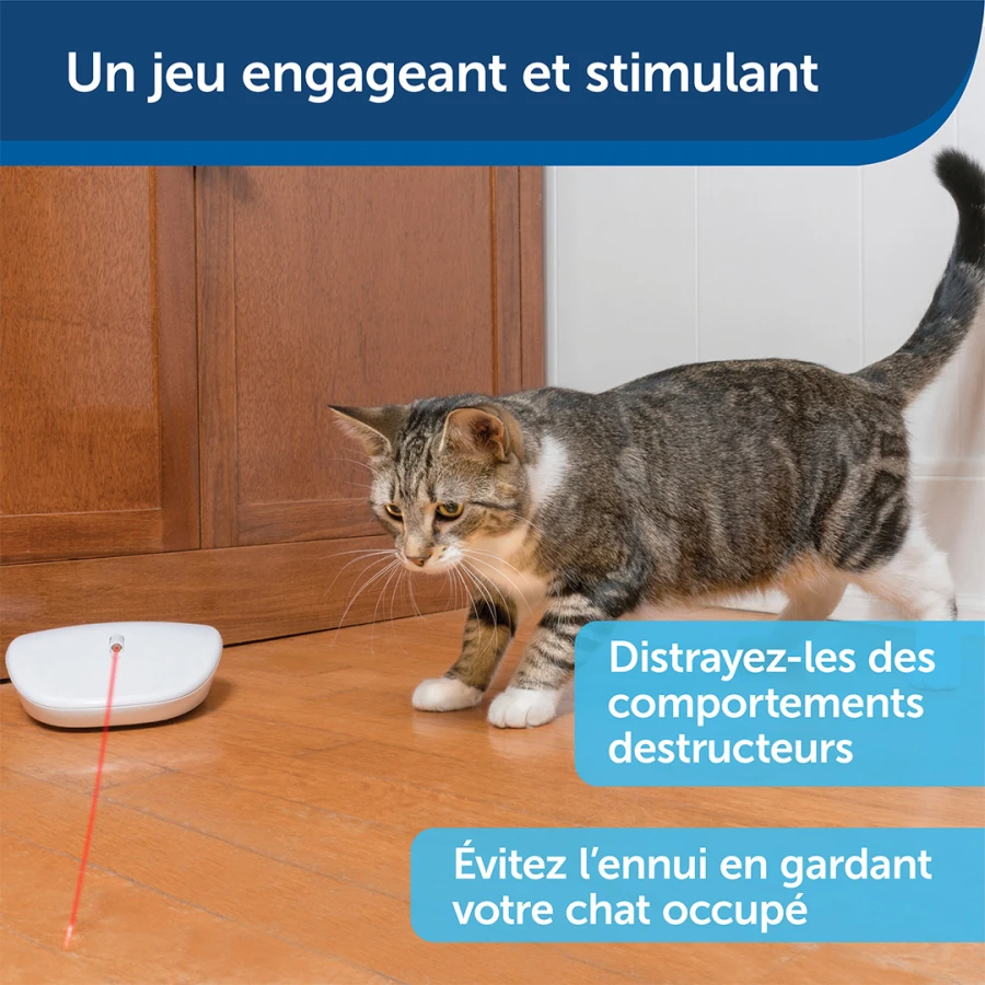 Jouet laser - Laser Tail