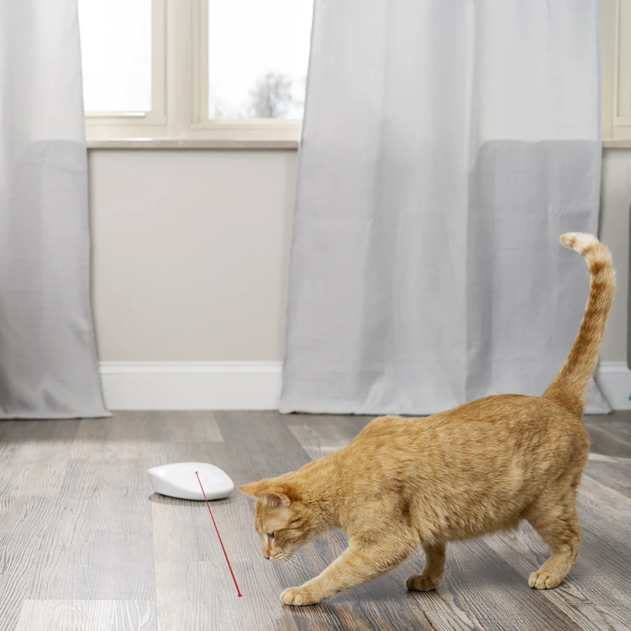 Jouet laser - Laser Tail