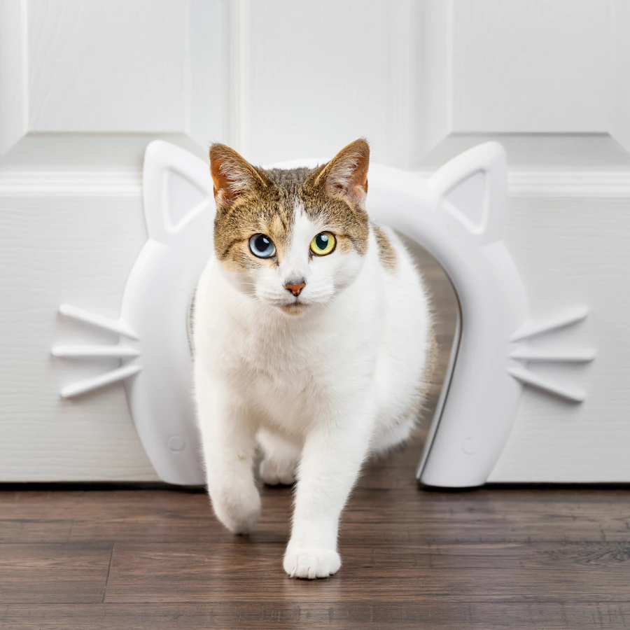 Passage pour chat - Cat Corridor