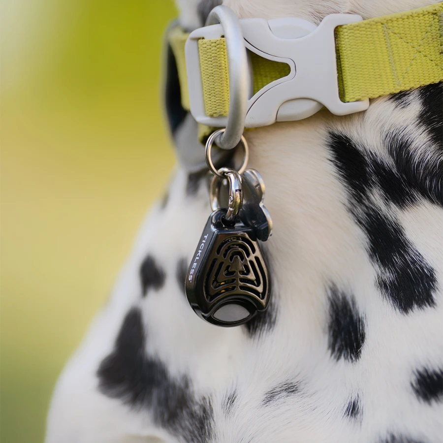 Tickless Pet à pile - black