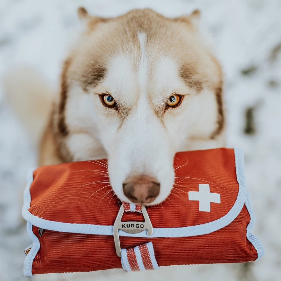 Kit Premiers Secours