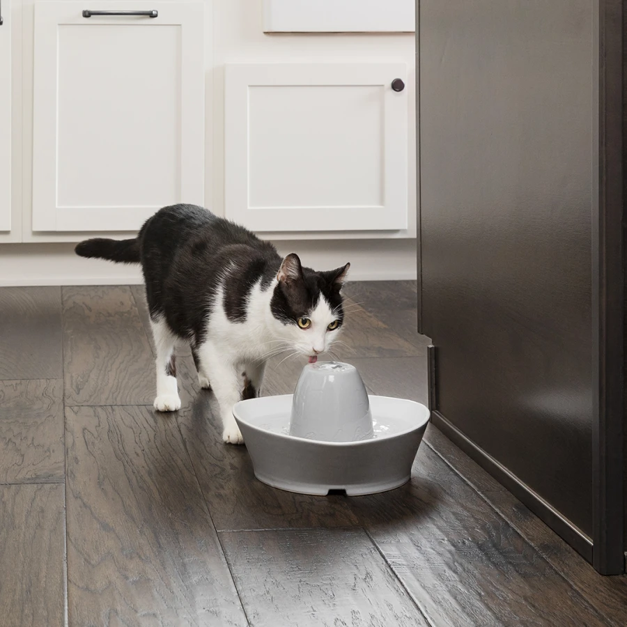 Fontaine Streamside céramique 1.8L