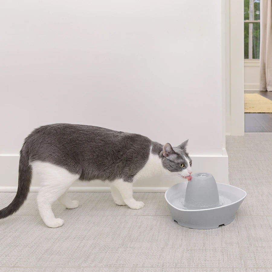 Fontaine Streamside céramique 1.8L