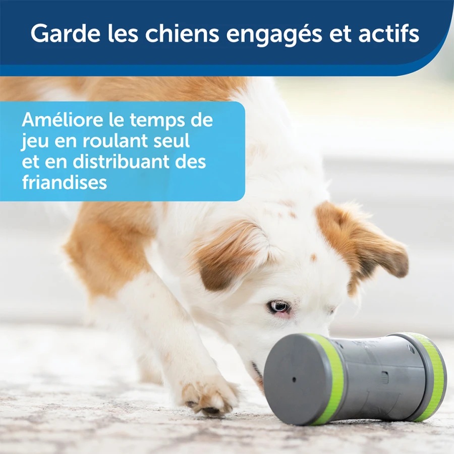 Jouet distributeur Kibble Chase
