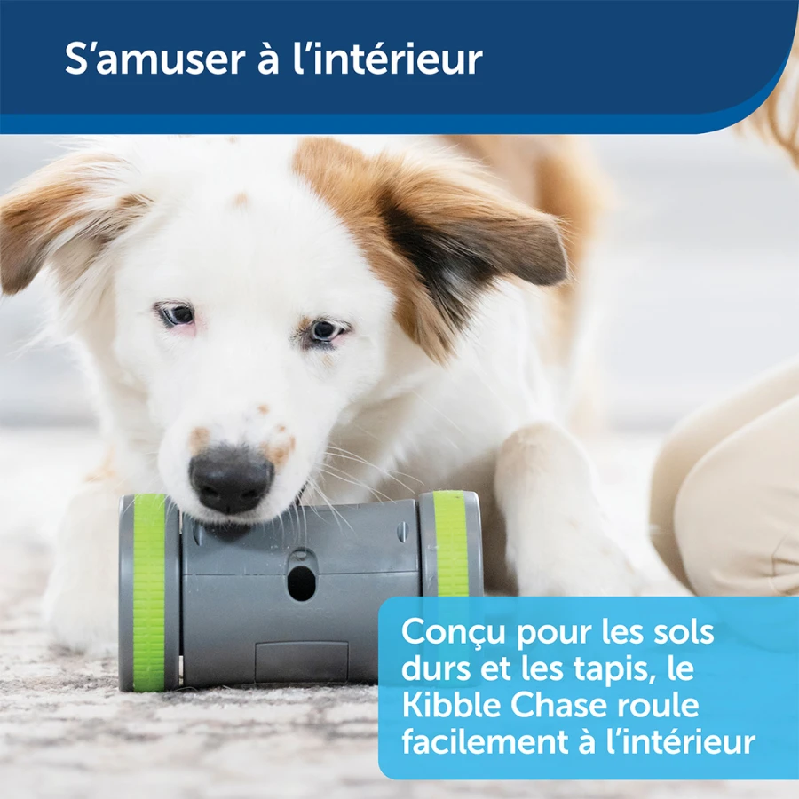 Jouet distributeur Kibble Chase