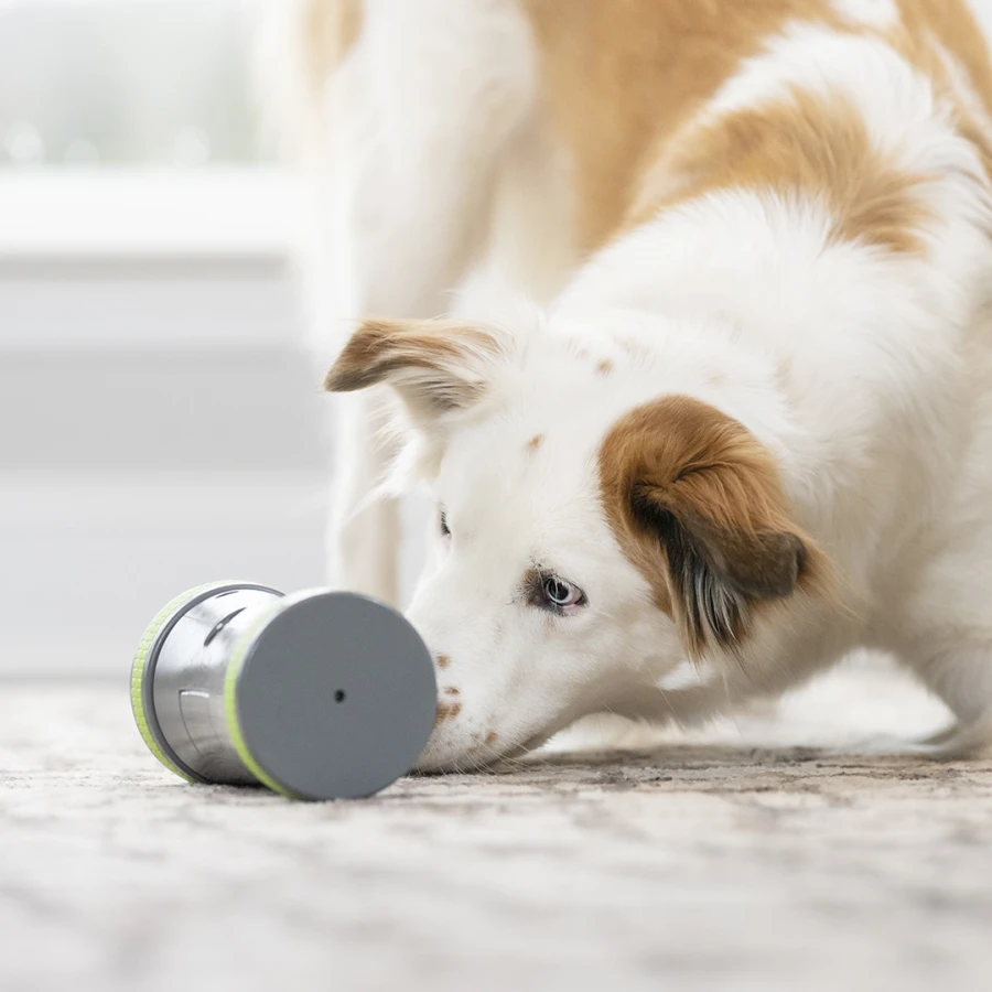 Jouet distributeur Kibble Chase