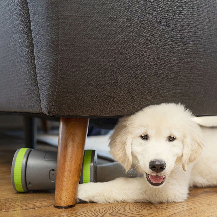 Jouet distributeur Kibble Chase