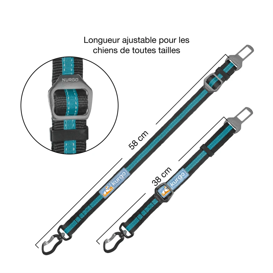 Attache sécurité pivotant DTS Swivel