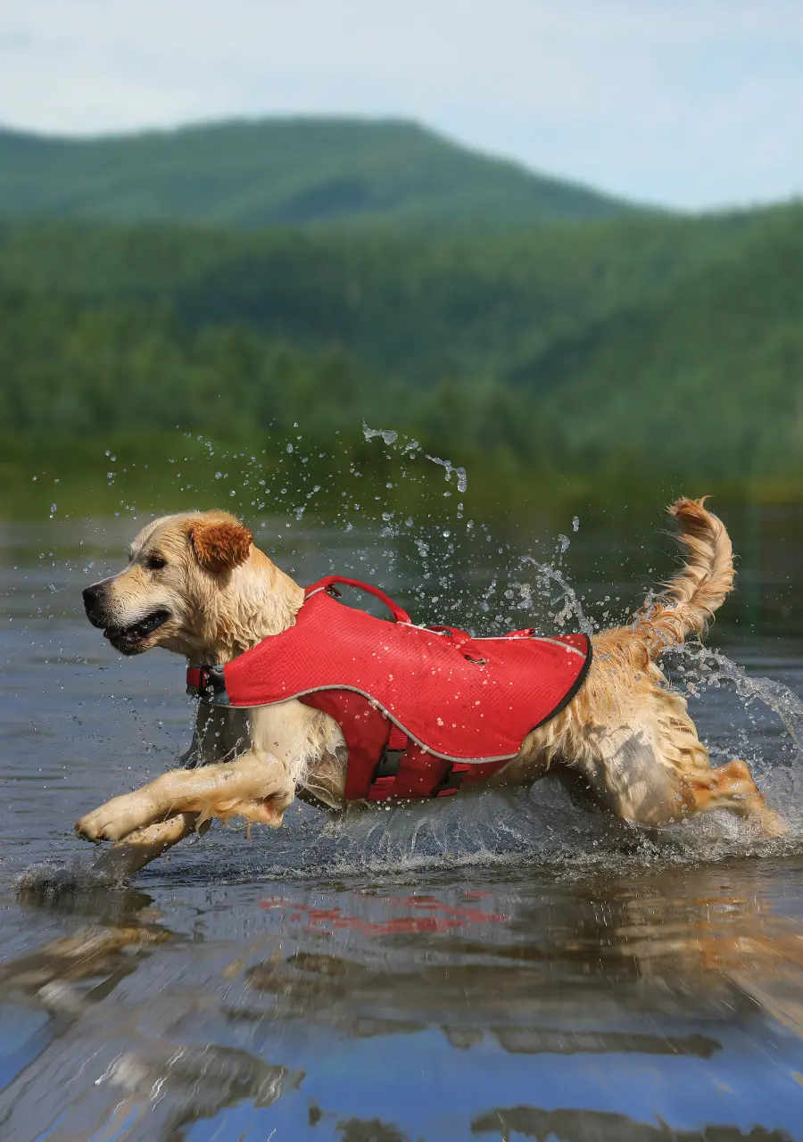 Gilet de Flottaison - Surf N Turf