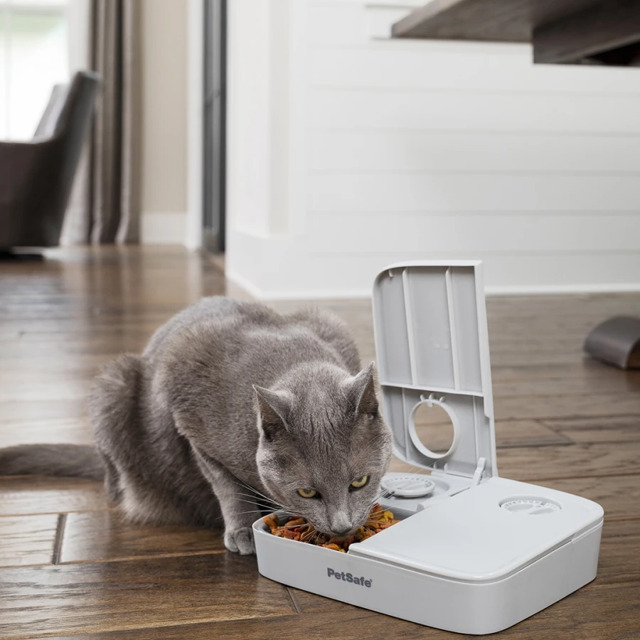Distributeur Automatique 2 Repas