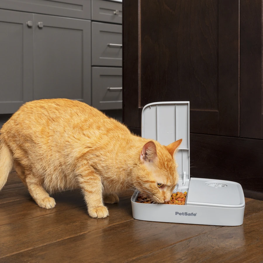Distributeur Automatique 2 Repas
