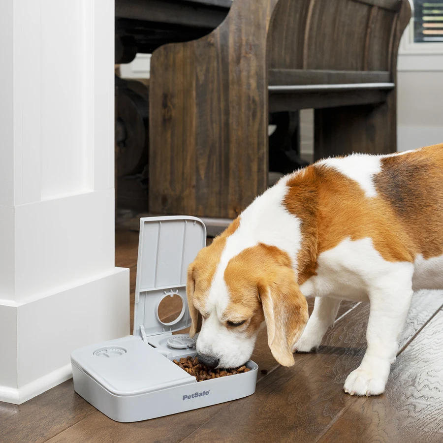 Distributeur Automatique 2 Repas