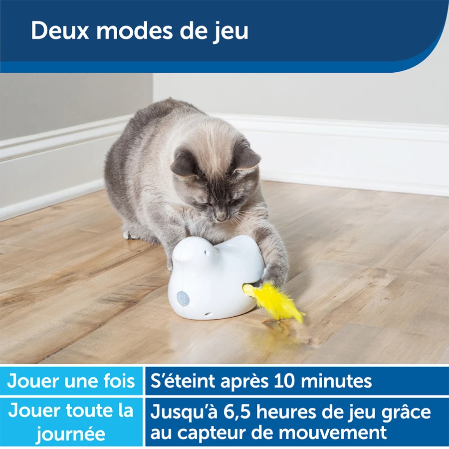 Jouet électronique - Peek A Bird