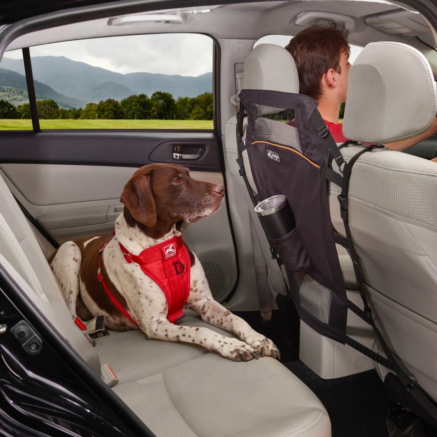Barrière de séparation Backseat