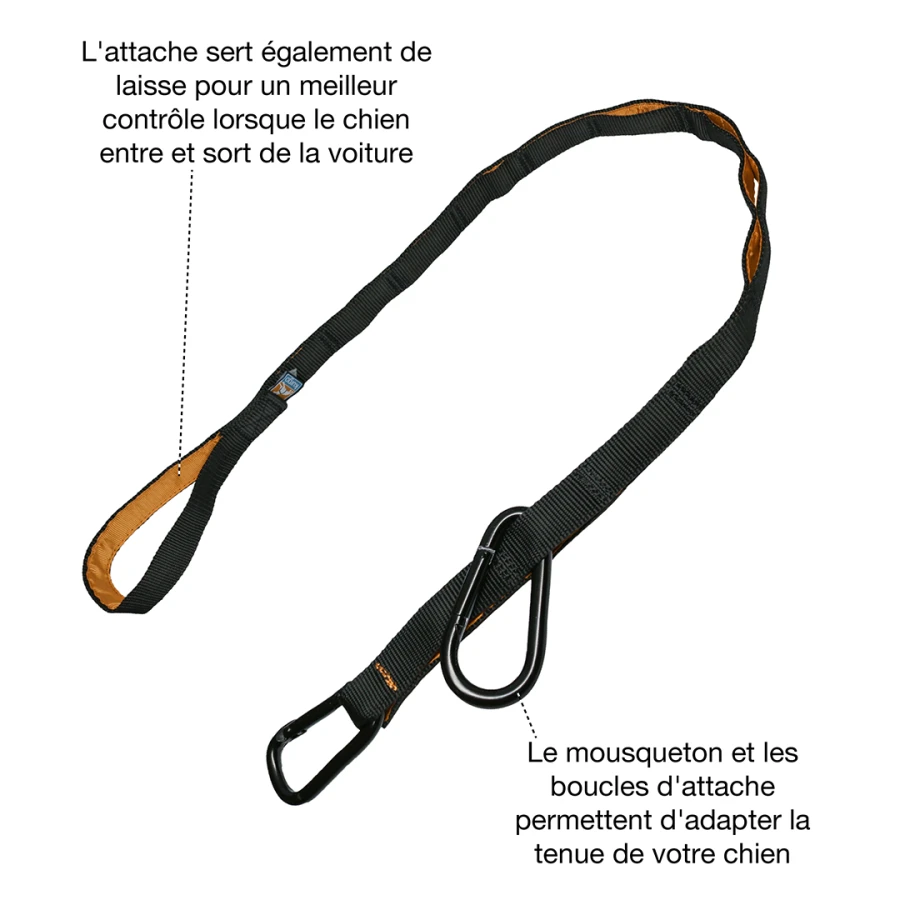 Tyrolienne de sécurité Zip Line