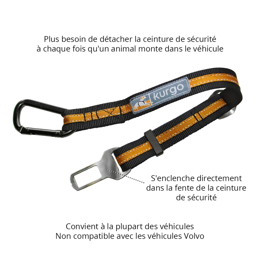 Attache de sécurité - Direct To Seatbelt