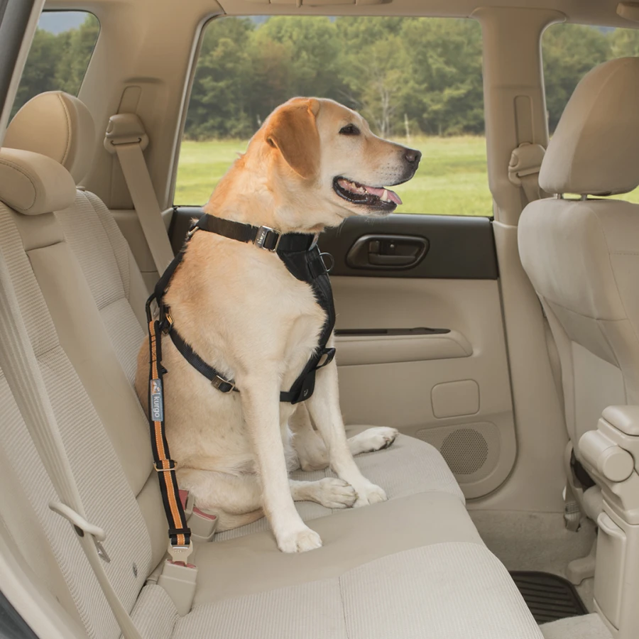 Attache de sécurité - Direct To Seatbelt