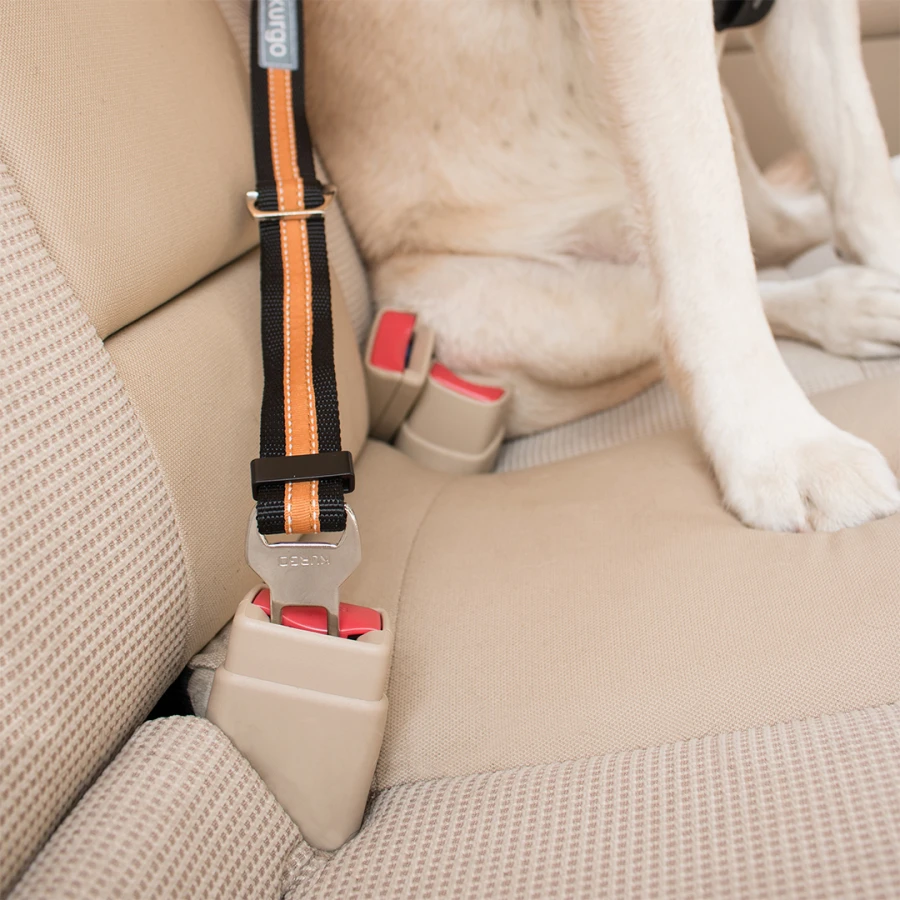 Attache de sécurité - Direct To Seatbelt