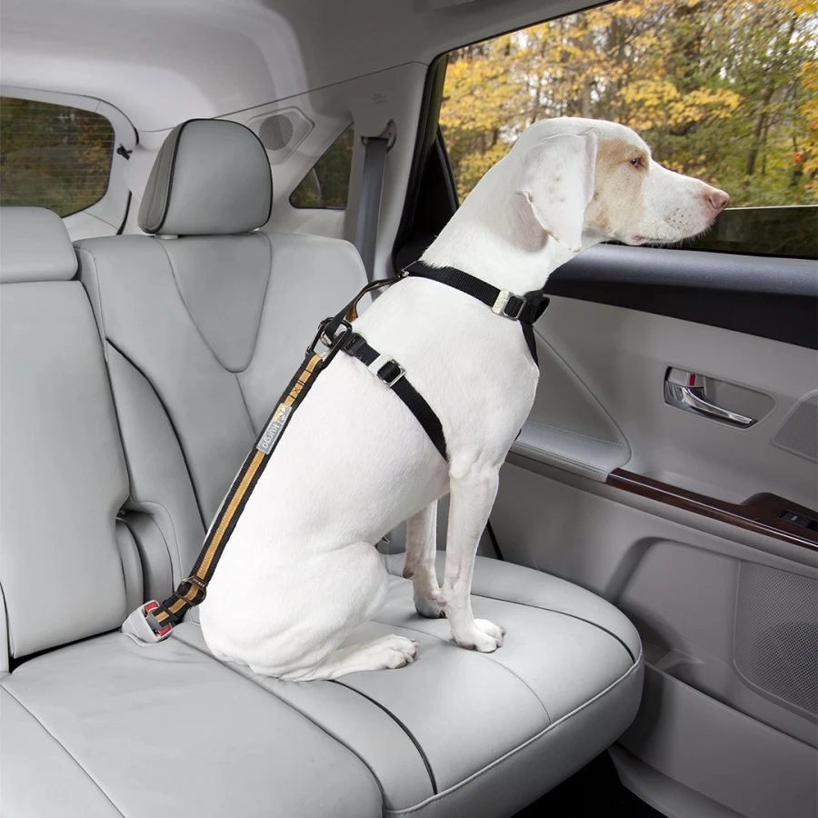 Attache de sécurité - Direct To Seatbelt