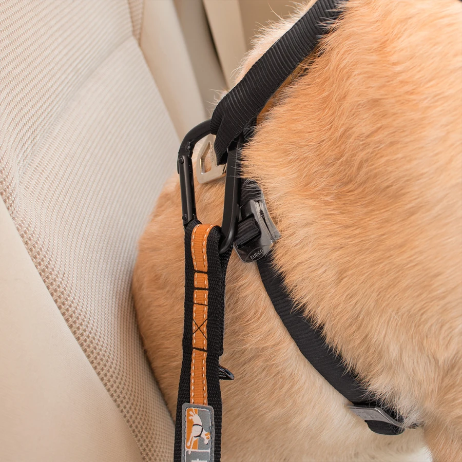 Attache de sécurité - Direct To Seatbelt