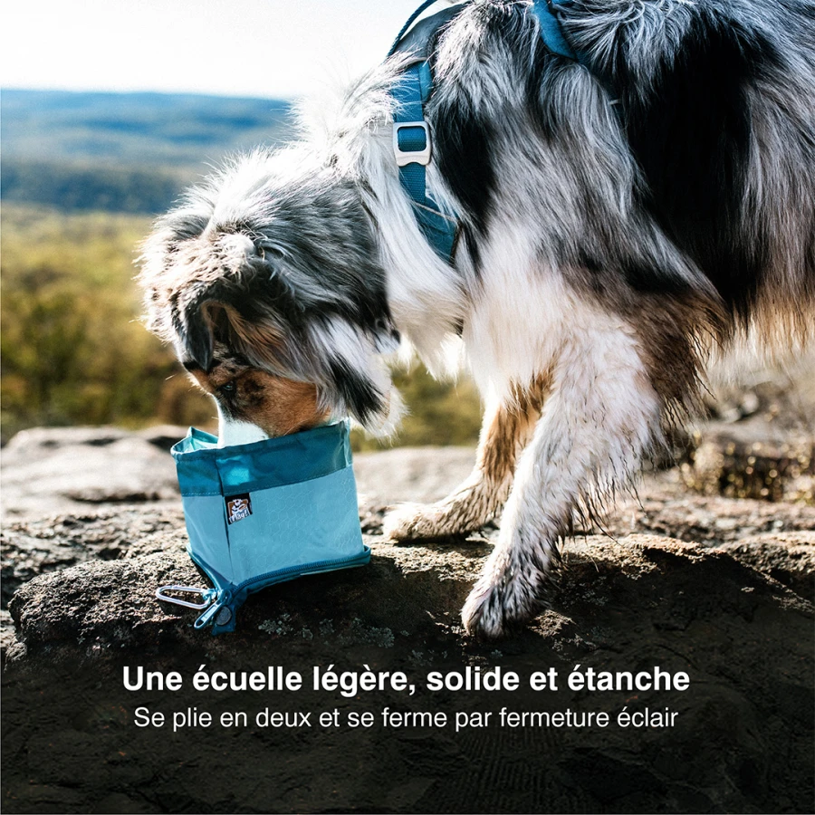 Gamelle de voyage - Zippy