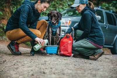 Sac de transport croquettes - Kibble