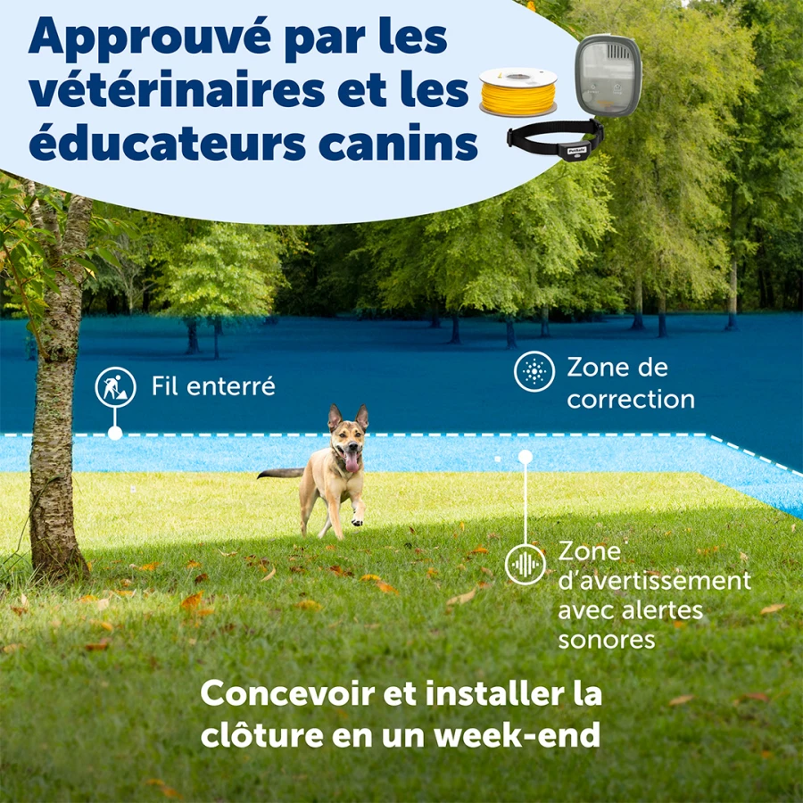 Clôture anti-fugue