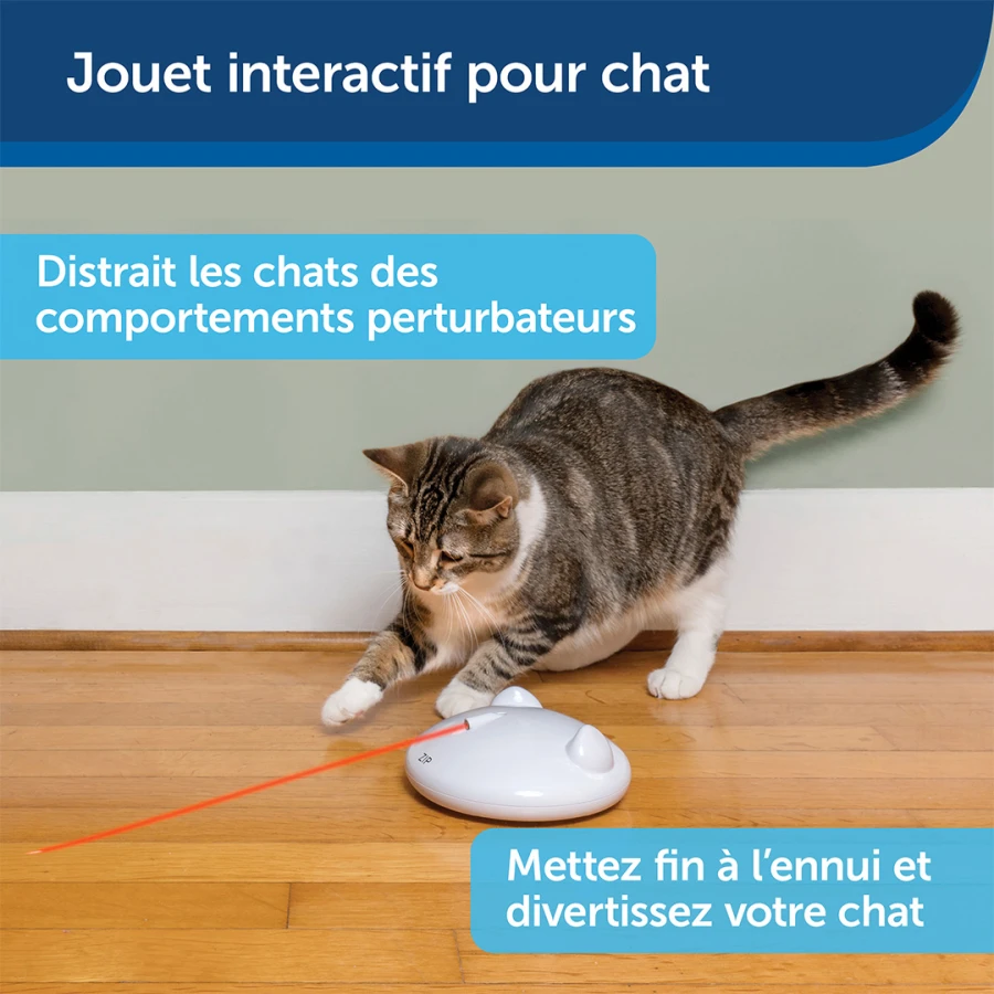 Jouet laser - Zip