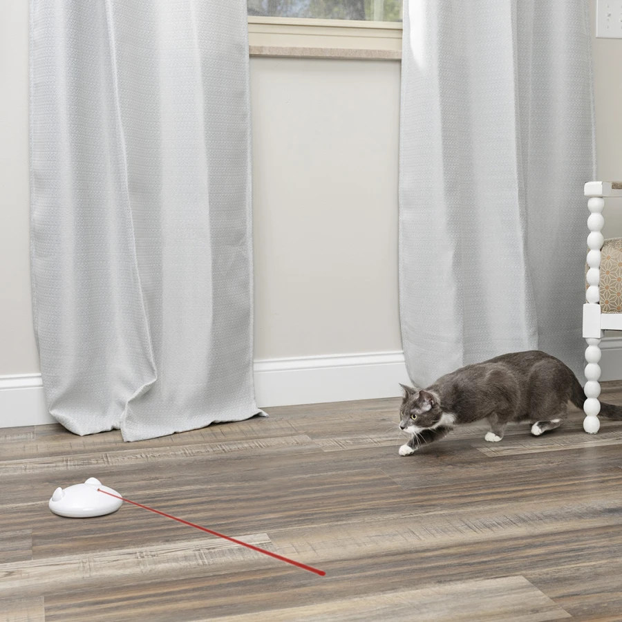 Jouet laser - Zip