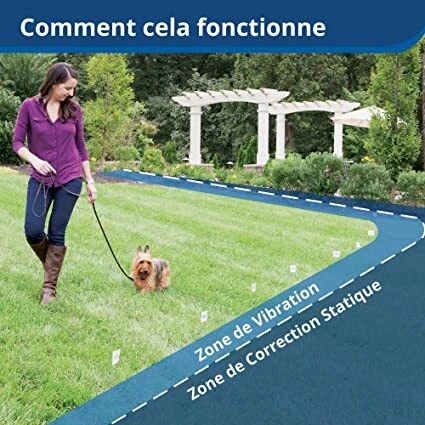 Clôture anti-fugue pour chien