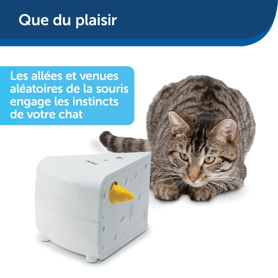 Jouet électronique - Cheese