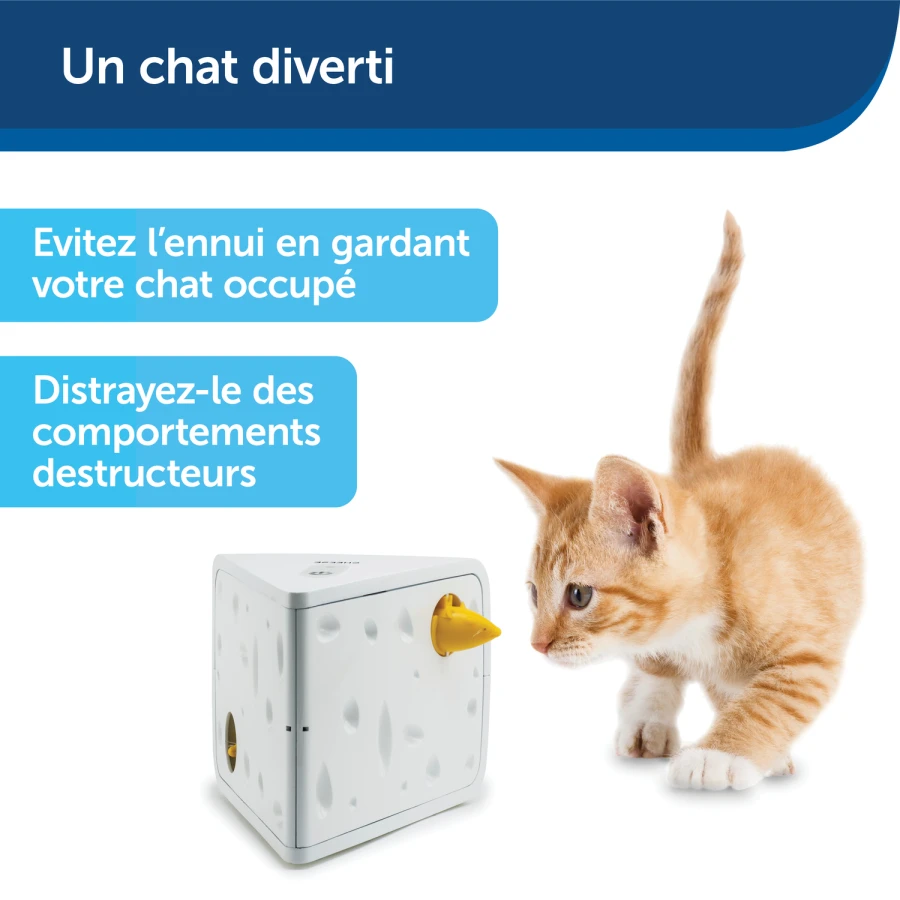 Jouet électronique - Cheese