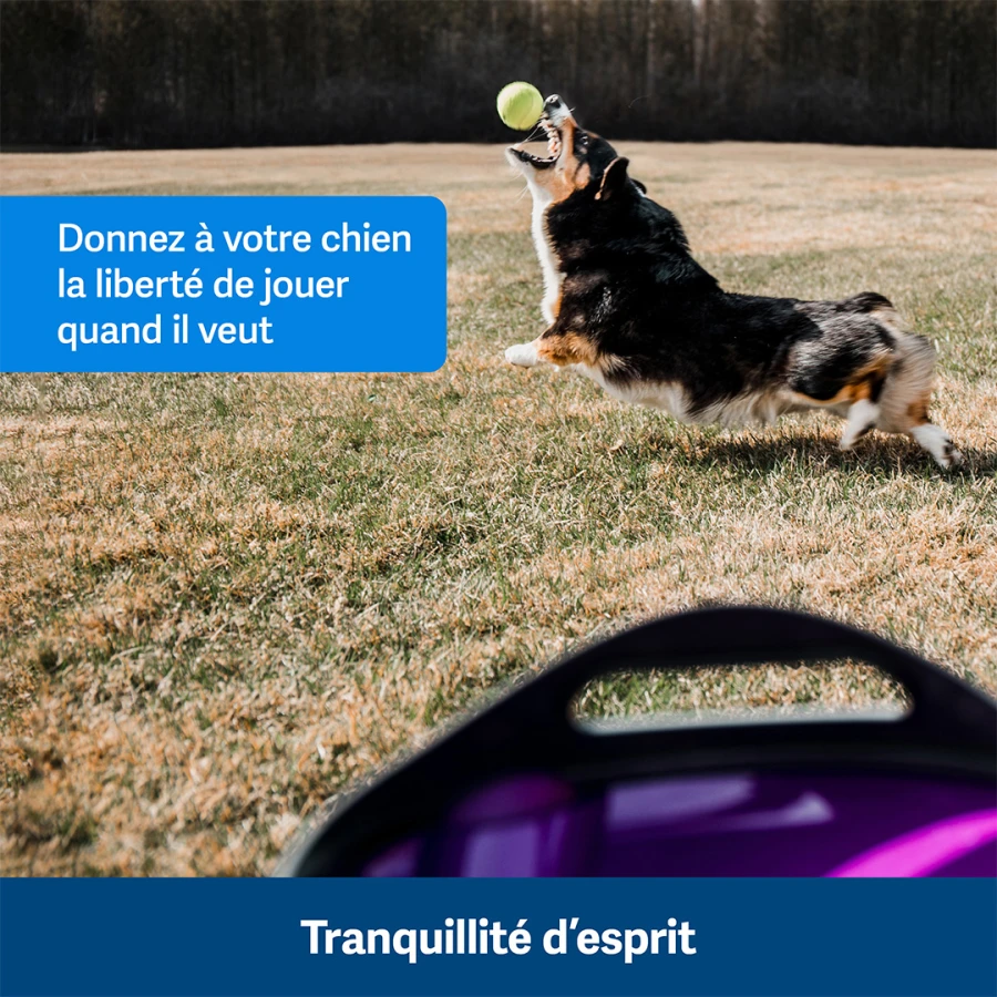 Lanceur automatique de balles