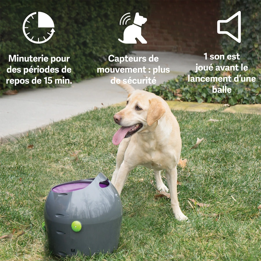Lanceur automatique de balles