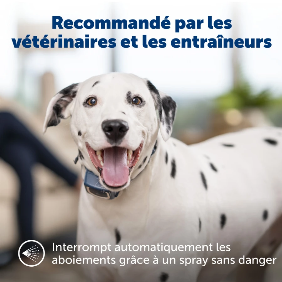 Collier antiaboiement spray