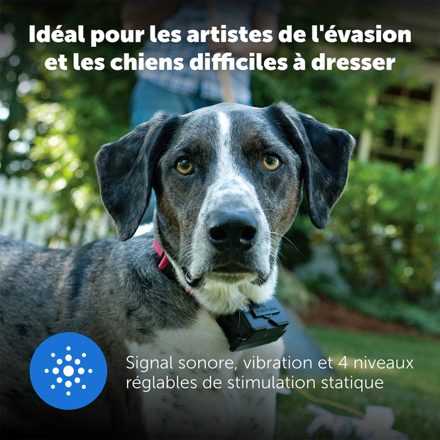 Kit clôture chien - Premium Luxe