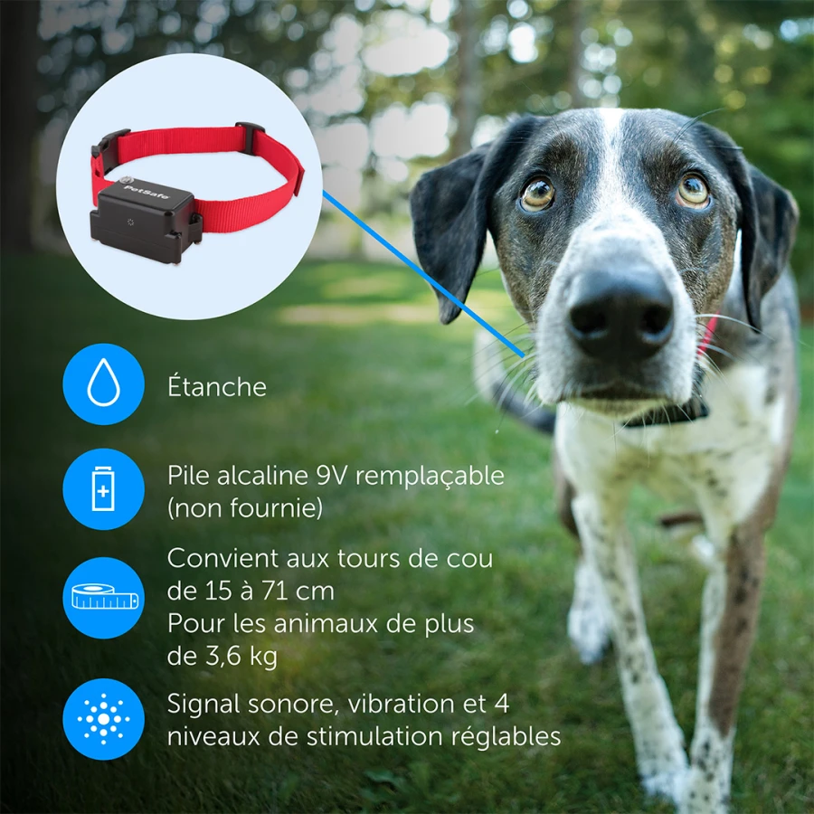 Kit clôture chien - Premium Luxe