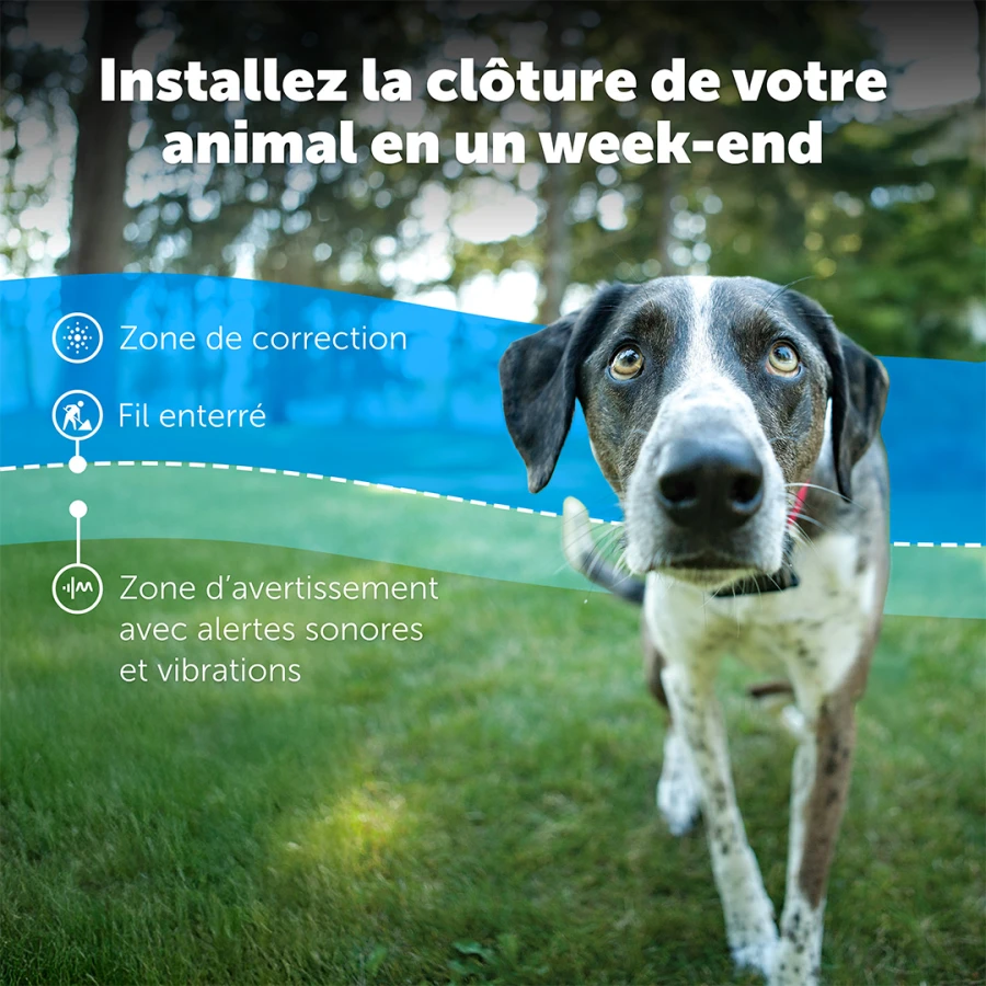 Kit clôture chien - Premium Luxe