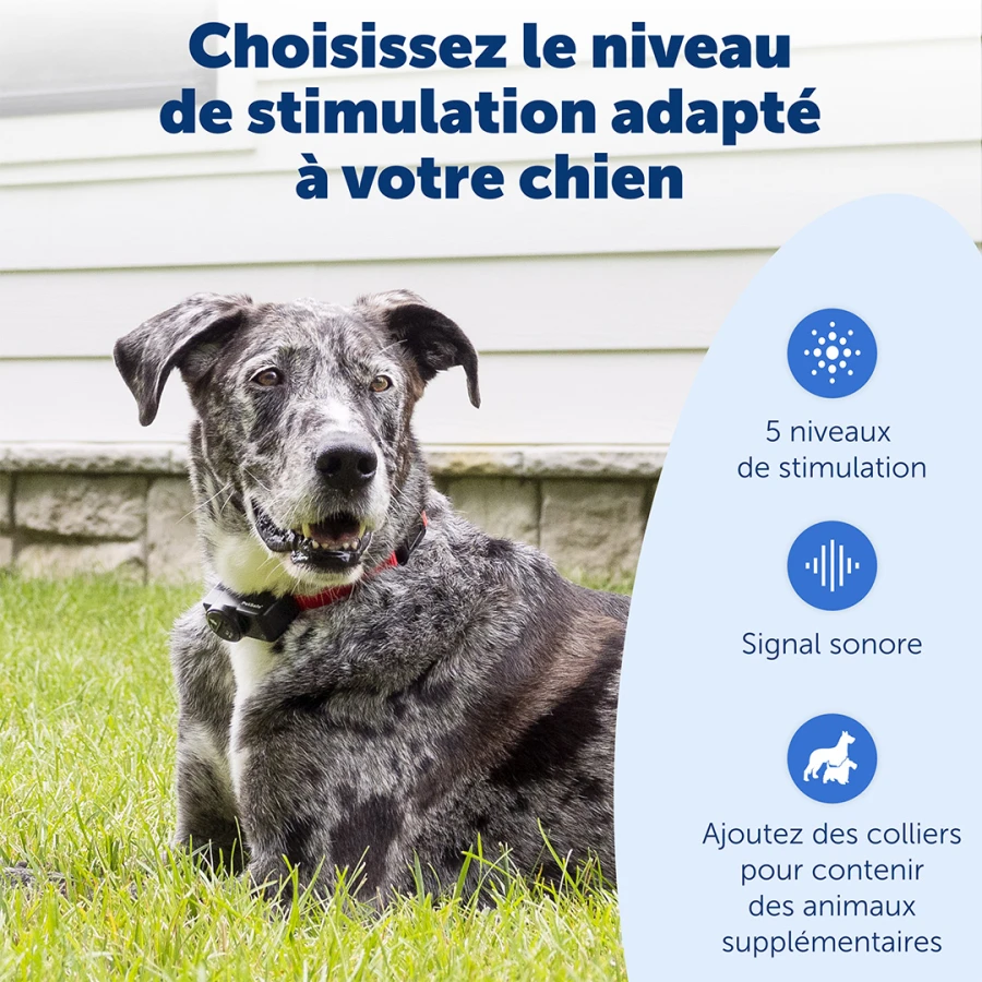 Kit clôture chien - Wireless
