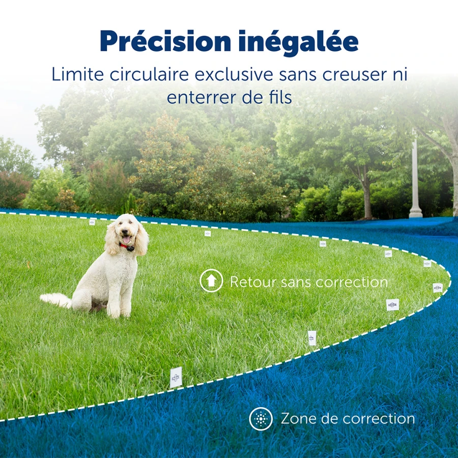 Kit clôture chien - Wireless