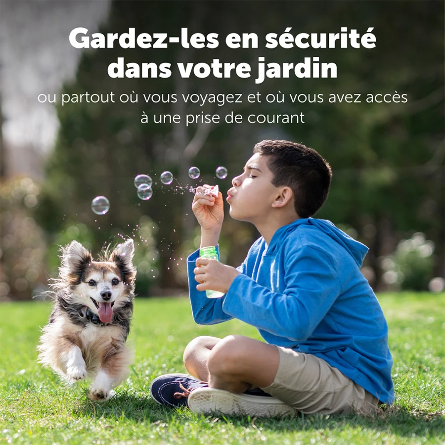 Kit clôture chien - Wireless