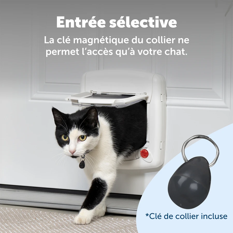 Porte magnétique - Deluxe