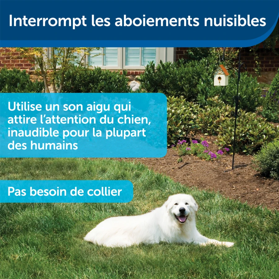 Maisonnette antiaboiement extérieur