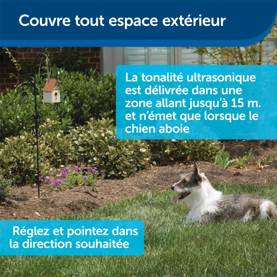 Maisonnette antiaboiement extérieur