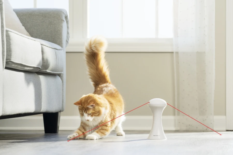 Jouet laser - Multilaser