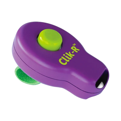 Clicker d’éducation