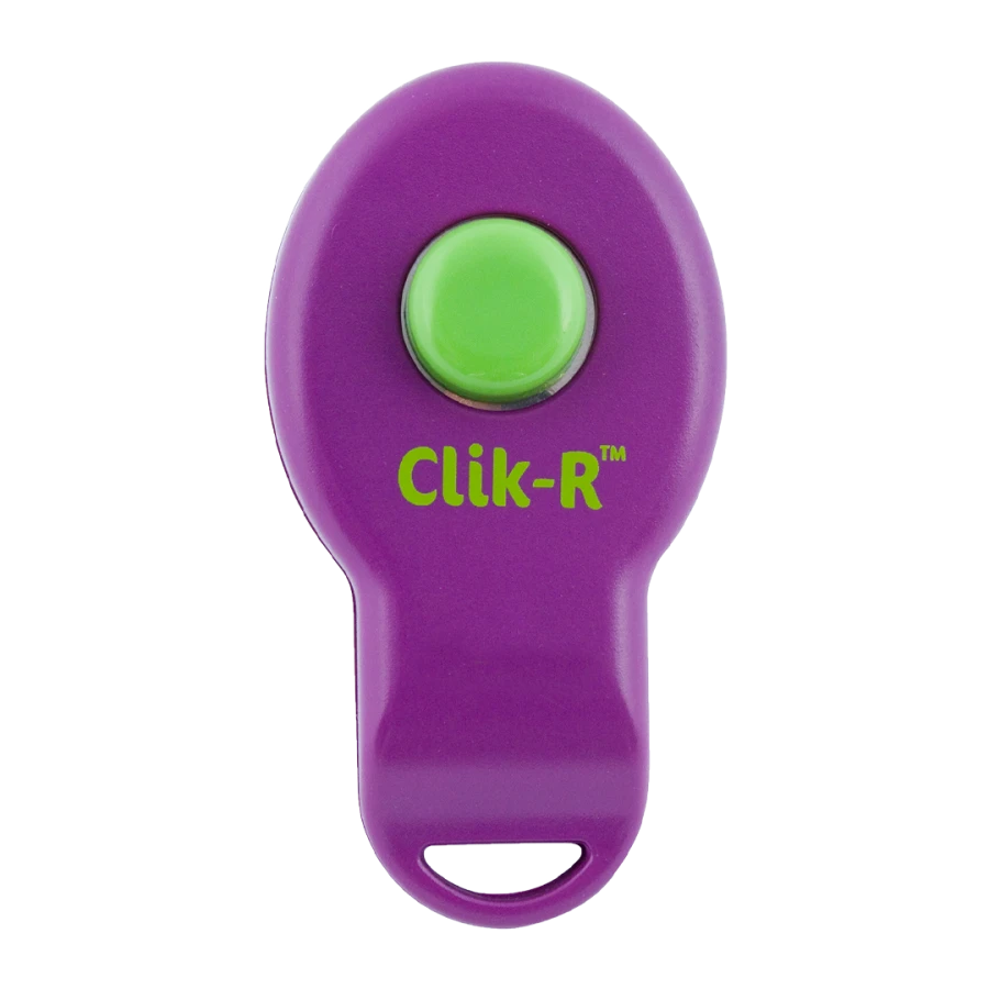 Clicker d’éducation
