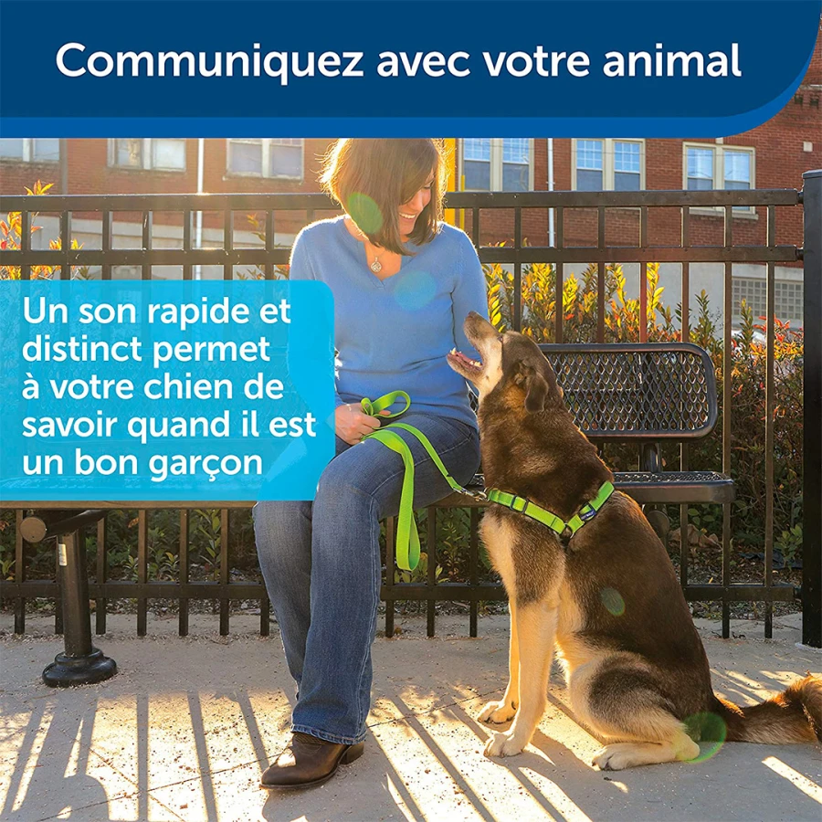 Clicker d’éducation
