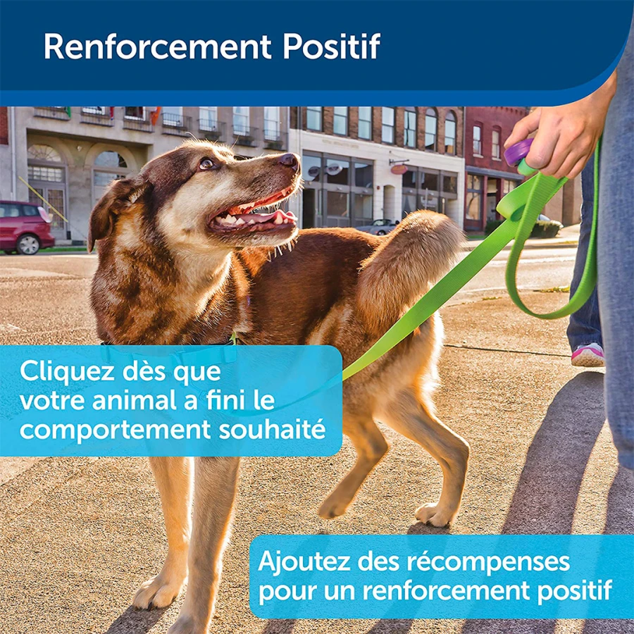 Clicker d’éducation