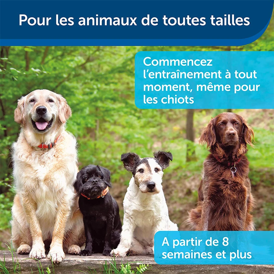 Clicker d’éducation